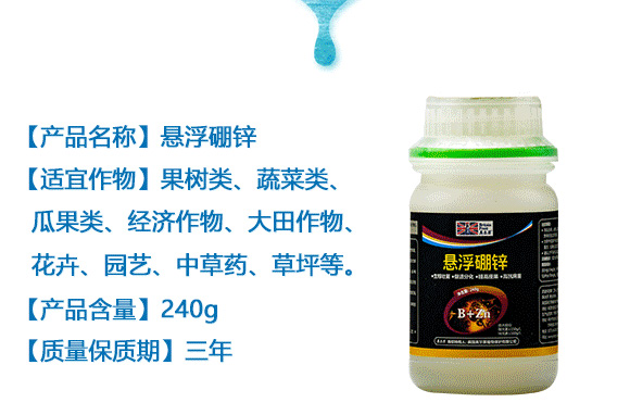 �Ҹ����\-Ӣ����_03