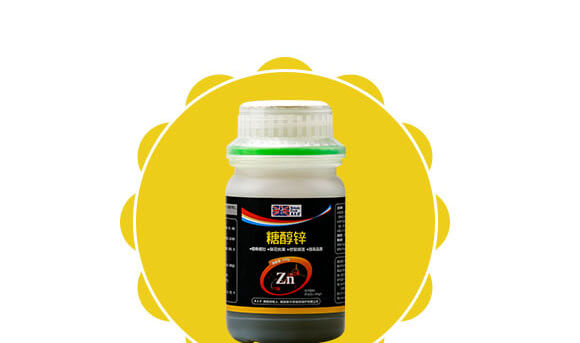 �Ǵ��\-Ӣ����_04