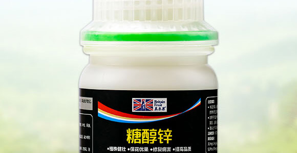 �Ǵ��\-Ӣ����_02