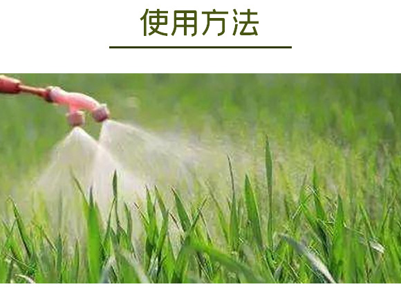 糖醇鈣-英爾果_12