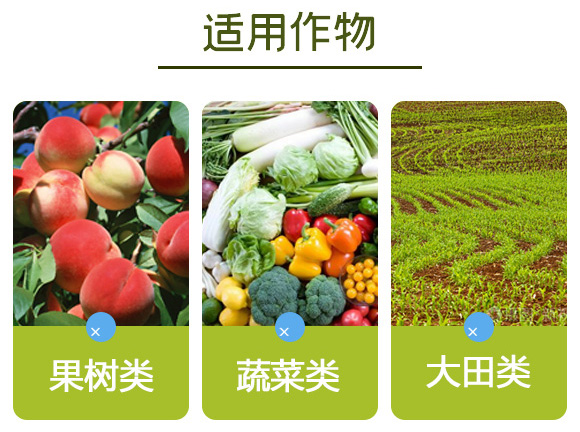 糖醇鈣-英爾果_13