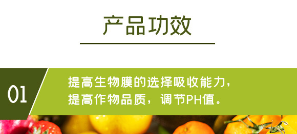 糖醇鈣-英爾果_07