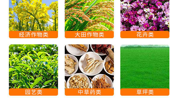 �Ǵ��\-Ӣ����_07