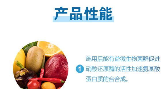 240g�ߵ�360-Ӣ����_05