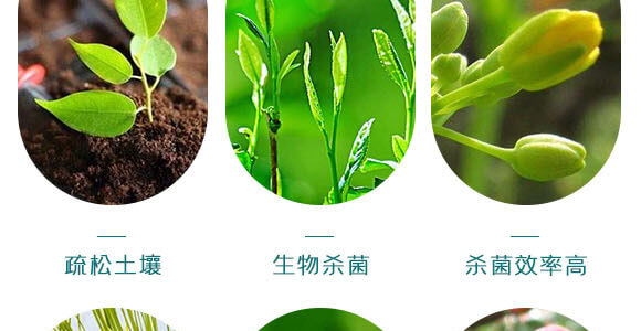 ΢�������-������-Ӣ����_05