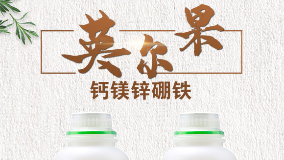 �}�V�\���F-Ӣ����_01