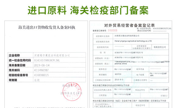 �}�V�\���F-Ӣ����_14