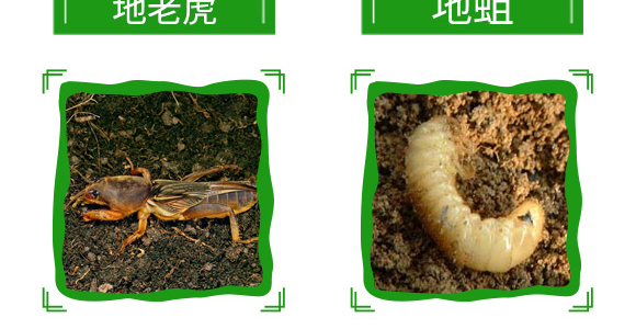 20%���衤������-����-��̖(h��o)�r(n��ng)�I(y��)_12