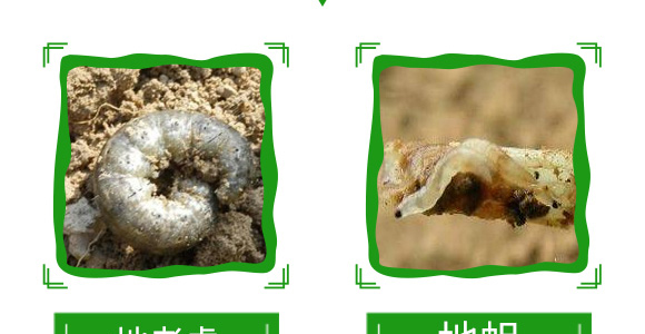 20%���衤������-����-��̖(h��o)�r(n��ng)�I(y��)_11