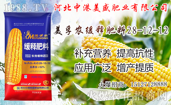 �O���������������ô���£��O�������ڼ���ժ�������