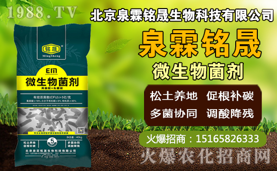 â��ʲô�r�g�Nֲ��â���Nֲ��������ˮ�r�ڣ�