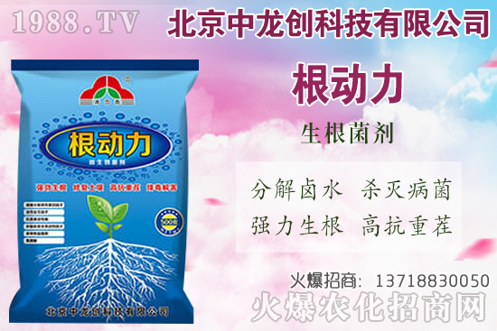 ���}���������������Щ�����}��ʩ�ʼ��g(sh��)Ҫ�c��