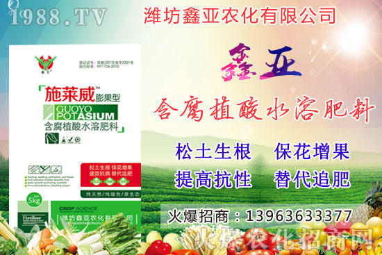 糧食漲價(jià)!20209月17日小麥價(jià)格行情如何?