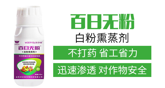 白粉熏蒸劑-百日無(wú)粉-沃爾優(yōu)_02