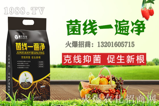 9��19��С���r��������q�����F(xi��n)��