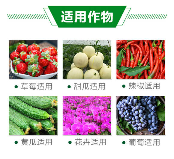 白粉熏蒸劑-百日無(wú)粉-沃爾優(yōu)_05