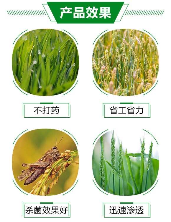 白粉熏蒸劑-百日無(wú)粉-沃爾優(yōu)_03