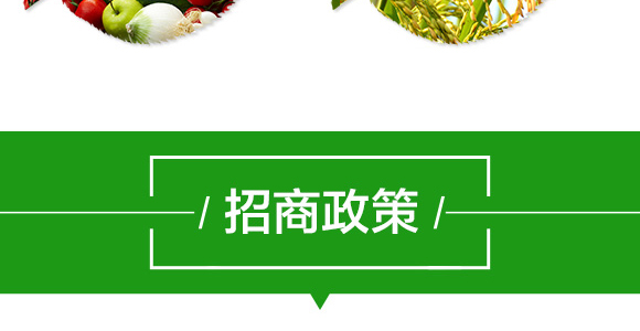 �����N������������-��(qi��ng)�r(n��ng)����_08