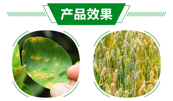 �׷�Ѭ��-�o(w��)��120-��ï�r(n��ng)�I(y��)_05