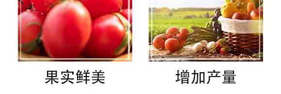 ���S�������ߌ��ã�-�и���ʢ_06