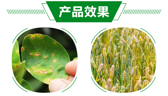 �M��������-�����`-��ï�r(n��ng)�I(y��)_05