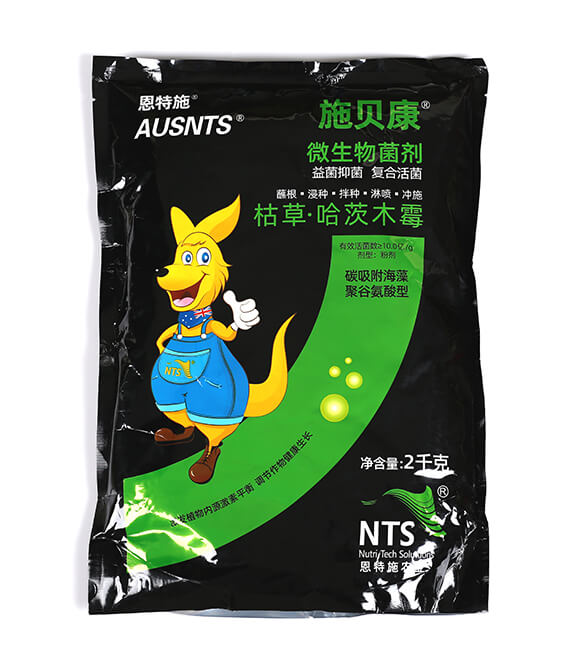 ΢�������-ʩؐ��-����ʩ2