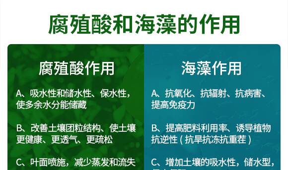 750-Ԕ���(y��)_05