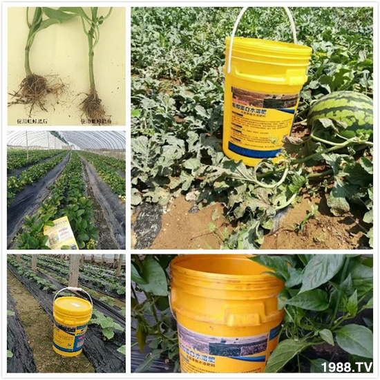 ˮ�ܷ��Ј���׃��������徫���~���׌��������棡1000���Ñ��������]��