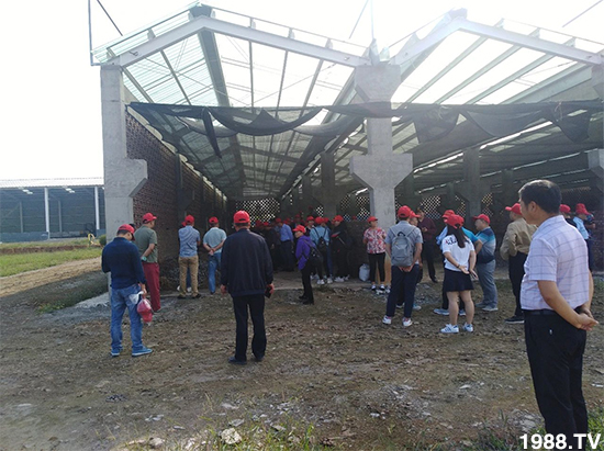 ˮ�ܷ��Ј���׃��������徫���~���׌�����������1000���Ñ��������]��