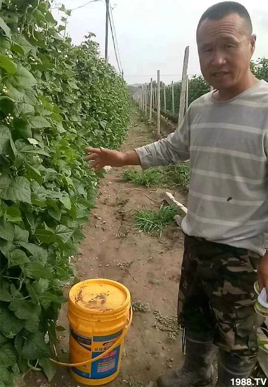 ˮ�ܷ��Ј���׃������徫���~���׌�����������1000���Ñ��������]��