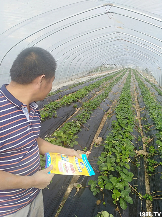 ˮ�ܷ��Ј���׃������徫���~���׌�����������1000���Ñ��������]��