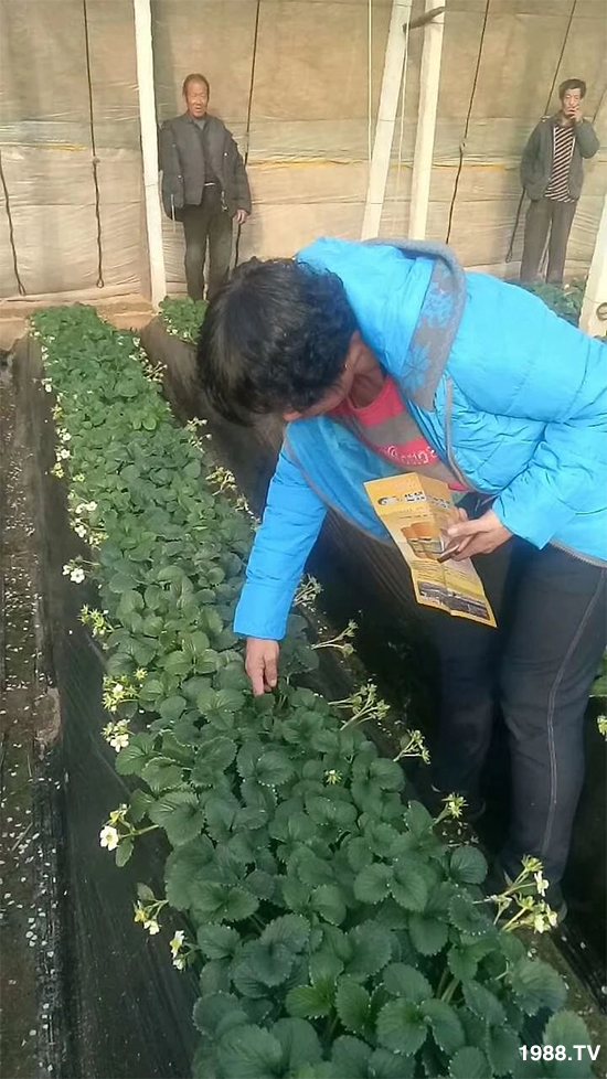 ˮ�ܷ��Ј���׃��������徫���~���׌�����������1000���Ñ��������]��