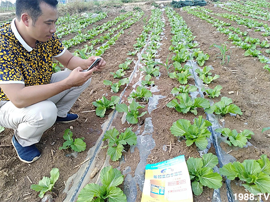 ˮ�ܷ��Ј���׃������徫���~���׌�����������1000���Ñ��������]��