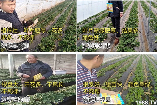 ˮ�ܷ��Ј���׃��������徫���~���׌�����������1000���Ñ��������]��