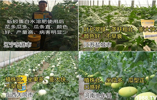 ˮ�ܷ��Ј���׃��������徫���~���׌��������棡1000���Ñ��������]��