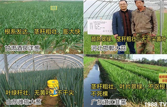 ˮ�ܷ��Ј���׃��������徫���~���׌��������棡1000���Ñ��������]��