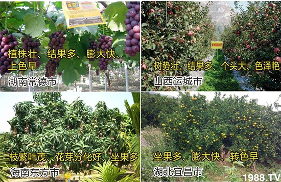 ˮ�ܷ��Ј���׃��������徫���~���׌�����������1000���Ñ��������]��