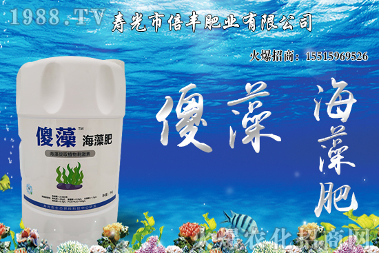 市場逐步回歸正;久,大豆價格沖高回落!