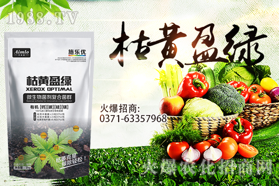 ʮ�¼������������r�ܝq������9��29��С���r���߄ݣ�