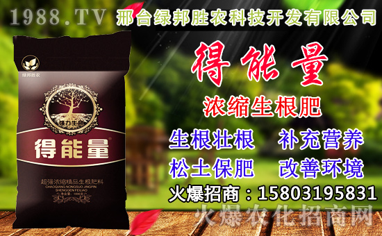 2020年小麥種子如何選?高產(chǎn)小麥品種有哪些?