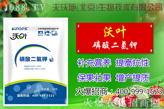 ���t��ժ�~����Щ��̎������ժ�~���g(sh��)��ע�����(xi��ng)��