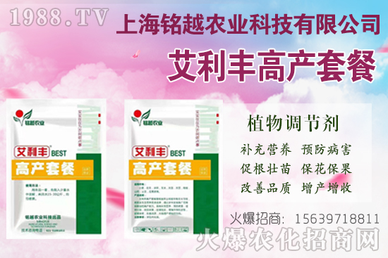 棉花吐絮是什么季節(jié)?常出現(xiàn)問題有哪些?棉花吐絮期管理要點!