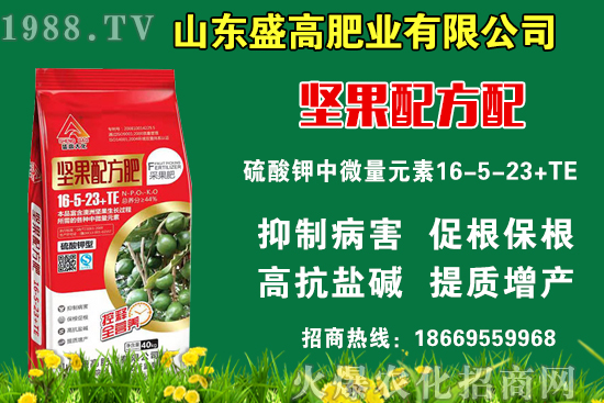 小麥價格還要上漲嗎?9月9日國內(nèi)小麥價格行情!