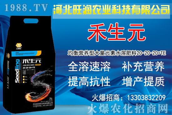 2020�Nֲ���y��ٍ�X�������y�����L�l�����Nֲǰ����