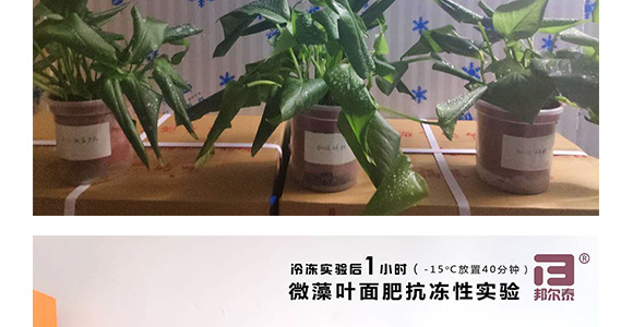 ΢��ԭҺ-һ�n��-�̩_11