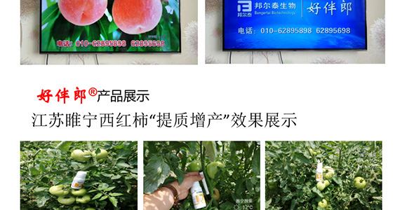 �ð���-�̩_12