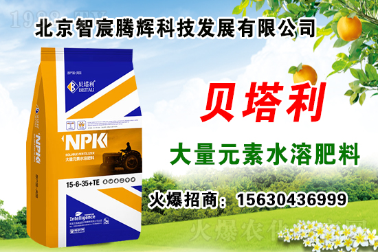 2020��Nʲôˎ����ٍ�X���Nֲˎ�����a(b��)�N������Щˎ���зNֲǰ����