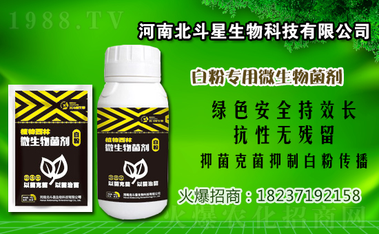 2021年2月12日福美鋅農(nóng)藥價(jià)格廠商報(bào)價(jià):