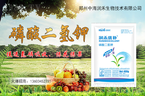 ����һ���굽��ԓ��ôʩ��������ʩ��ע���������Щ��