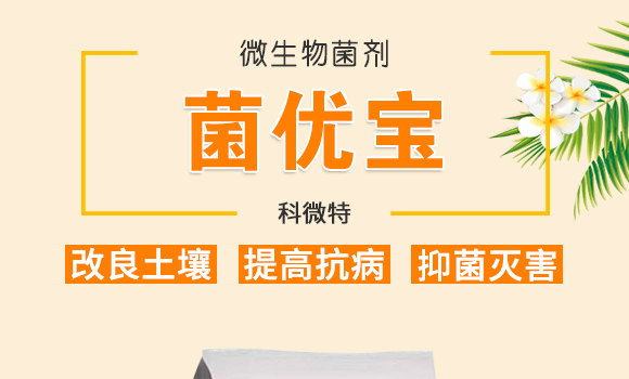 �ڽ�VԴ�S�����-��΢��_01